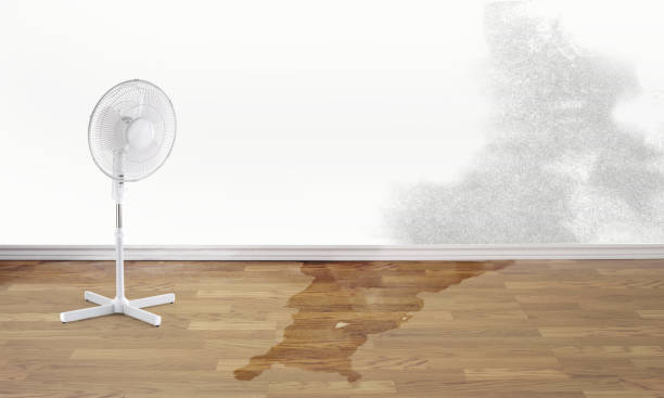  Southmont, NC Water damage restoration Pros