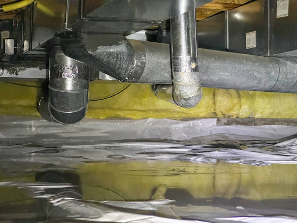 Best Mold removal after water damage  in Southmont, NC