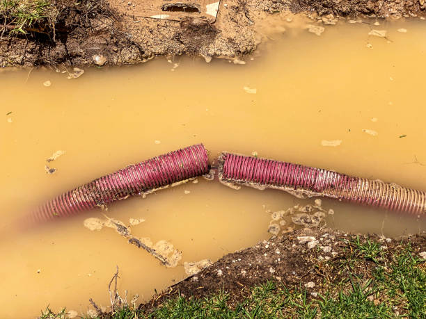 Best Carpet water damage restoration  in Southmont, NC